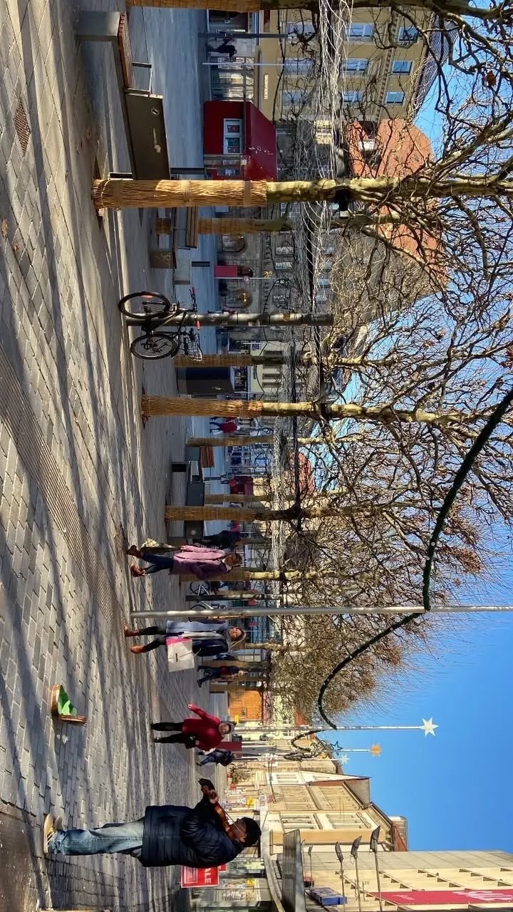 Galeria