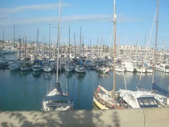 Barcelona Turisme Walking Tours Marina