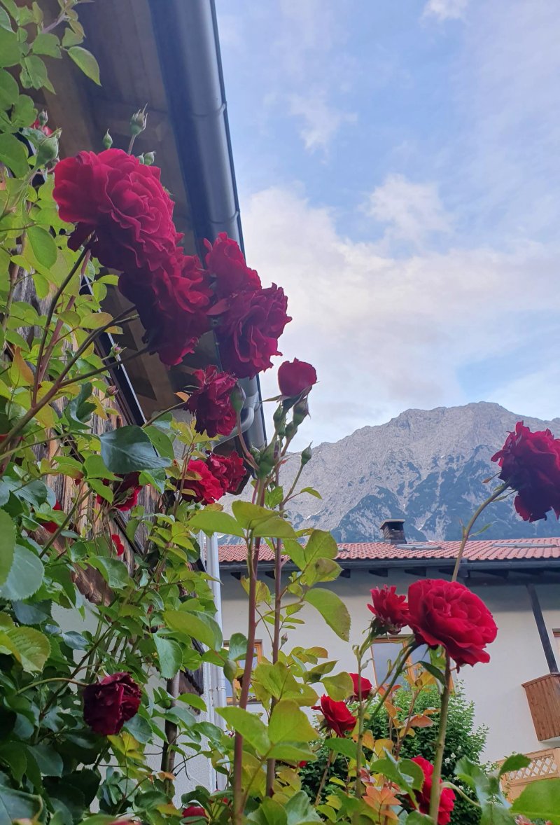 Ferienapartmenthaus Hubertushof