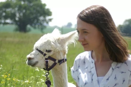 Free Range Fibre Alpacas