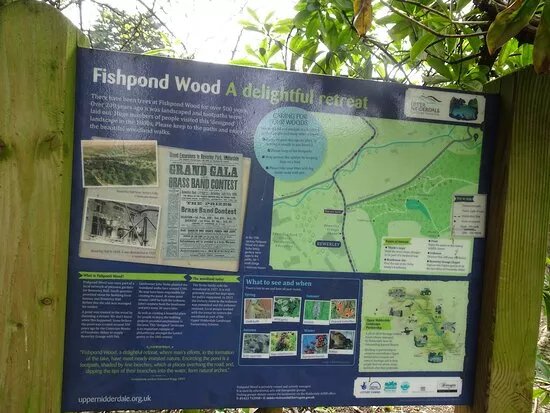 Fishpond Wood