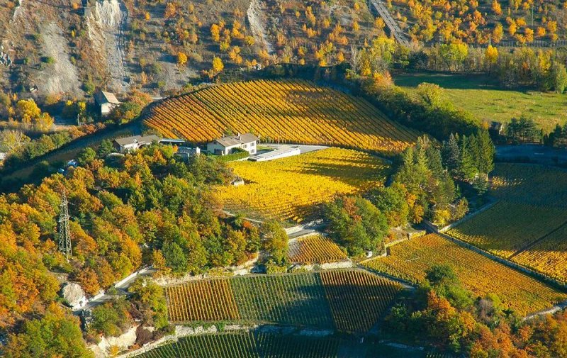 Domaines Rouvinez