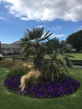 Marine Gardens