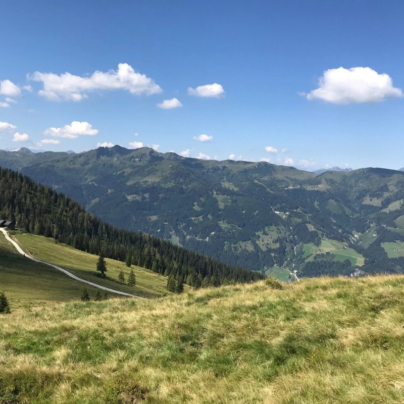 Weissenhofalm