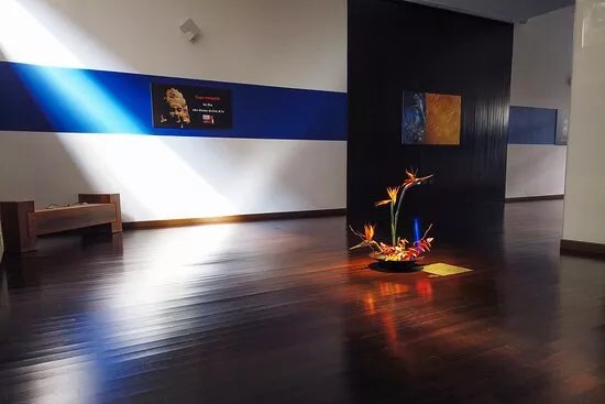 Parsifal Yoga Academy