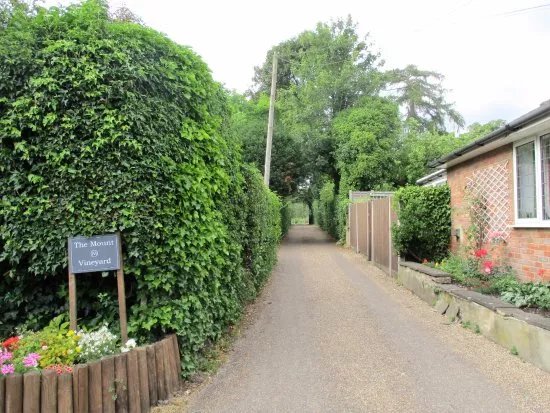 The Mount Vineyard
