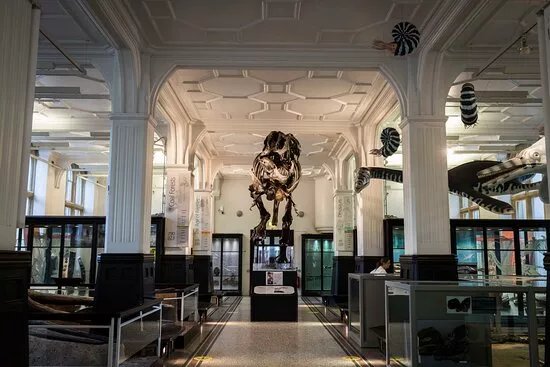 Manchester Museum