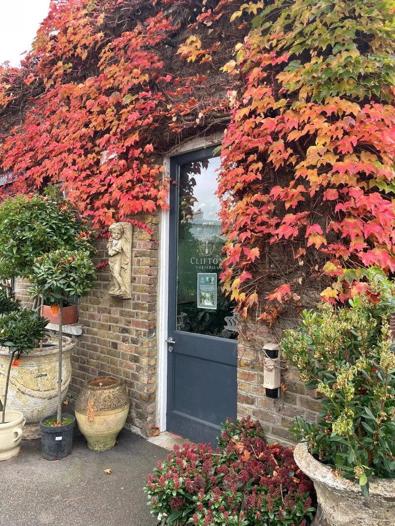 The Cafe at Clifton Nurseries London