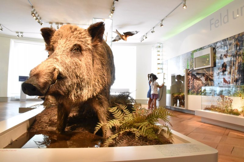 Naturmuseum Thurgau