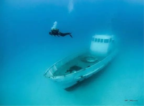 Artificial Reef