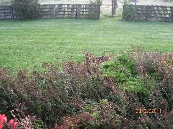 Hall Farm Bed and Breakfast