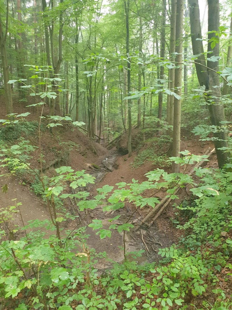 Klingender Wasserfall