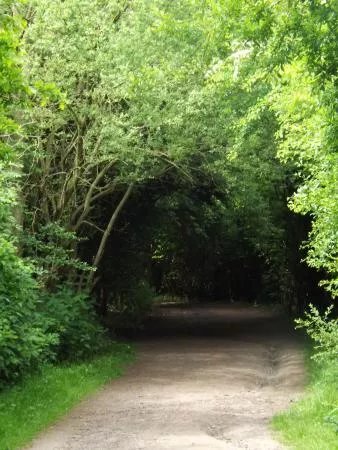 Dearne Valley Park