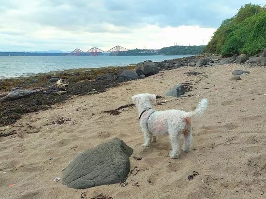 Inverkeithing Bay Beach