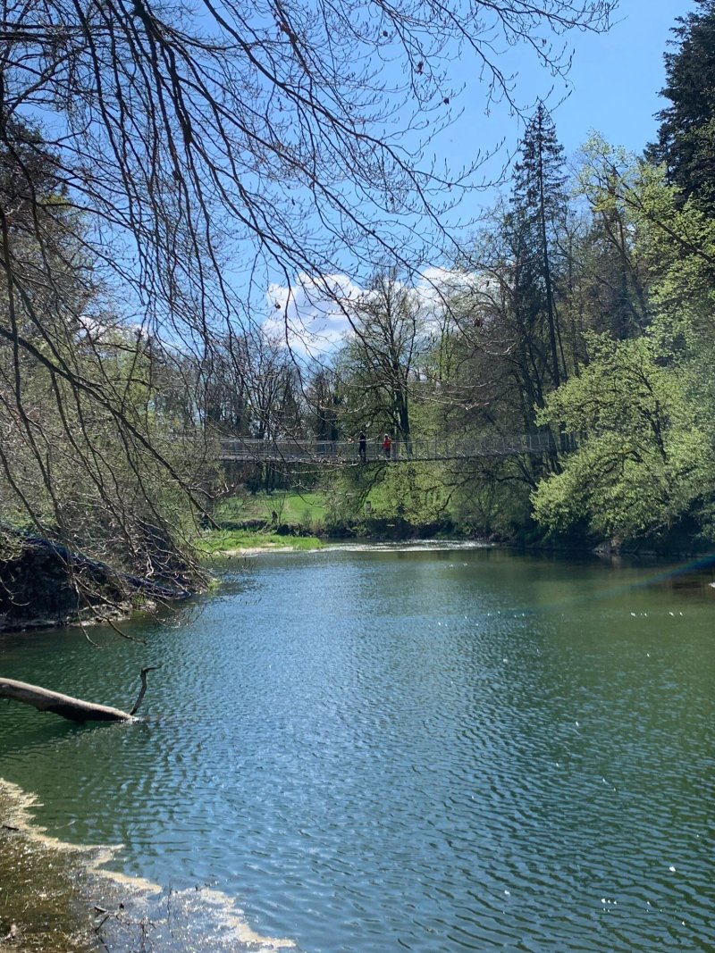 Hangebrucke Uber Die Donau