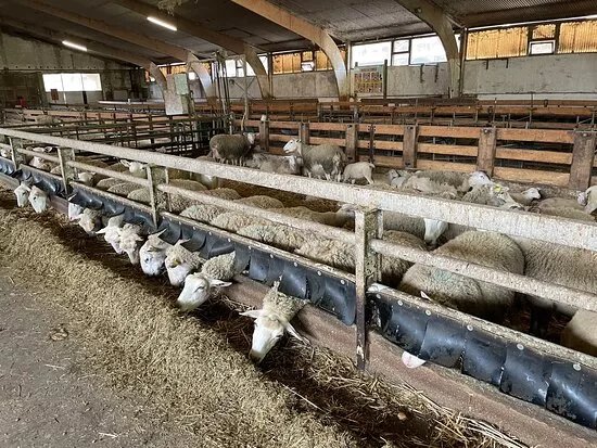 Ferme de Grignon