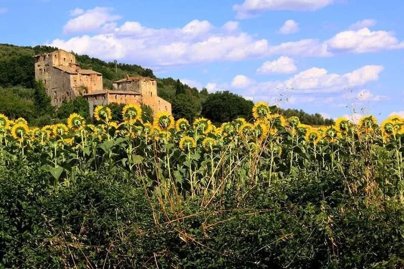 Farmhouse Casabella in Tuscany