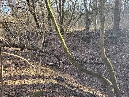 Naturlehrpfad Scheffelschlucht