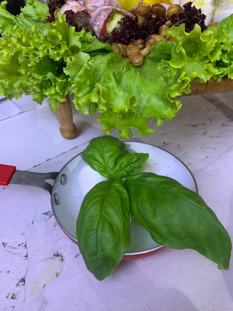 Terra Madre Antipasteria