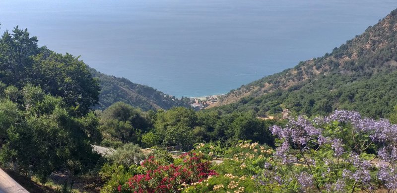 Al Giardino Degli Agrumi