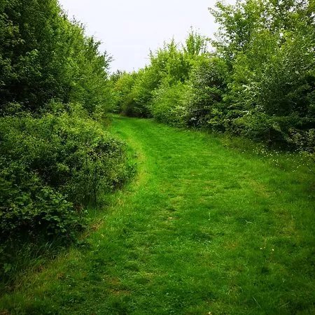 Home Farm Woodland Trail