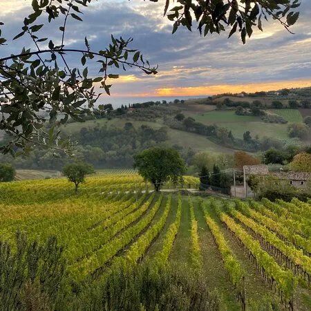 Azienda Agricola Lucarelli Roberto