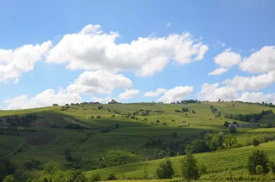 Azienda Vitivinicola Vigano