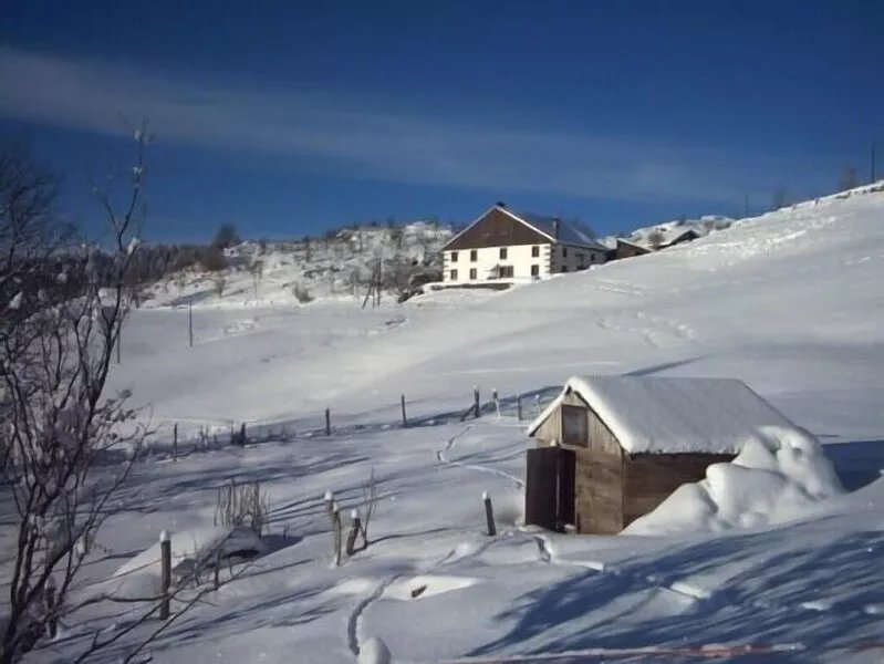 Panda cottage facing the Ballons des Vosges - unobstructed view, space, calm