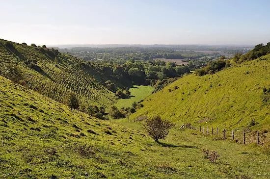 Wye National Nature Reserve