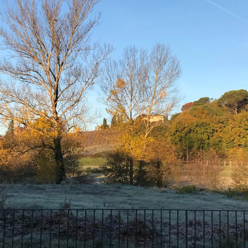 B&B I Girasoli