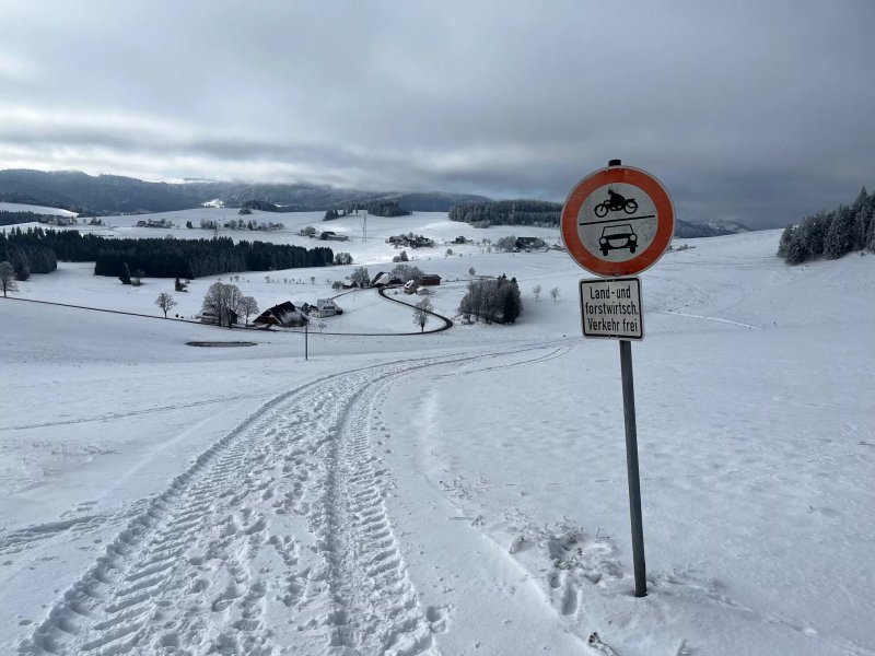 Gasthof zum Löewen
