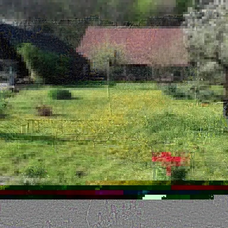 Country Hose Dunjin Konak Rogljevo