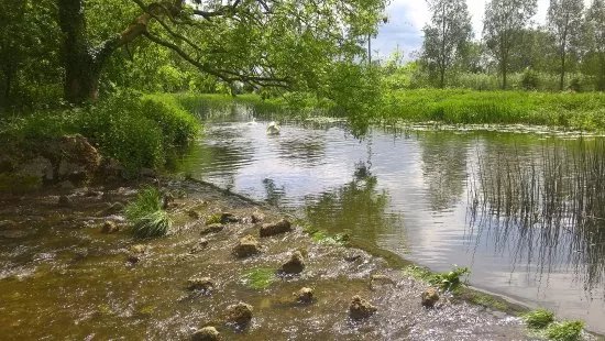 Long Melford