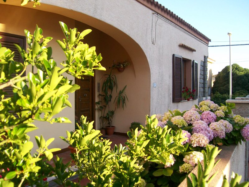 B&B Le Ortensie