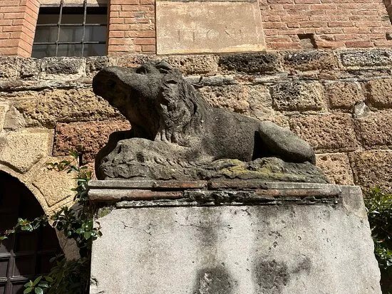 I Leoni Di Albenga