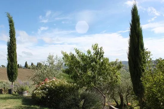 Vallone de Cecione
