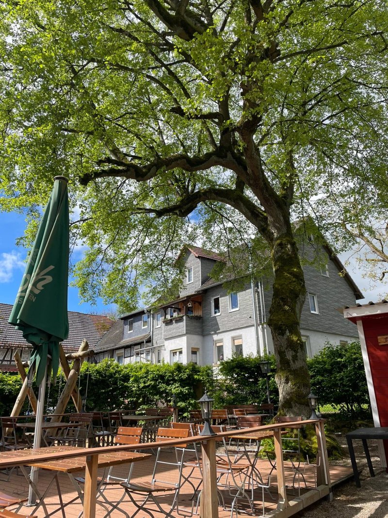Zur Burgruine Frauenberg