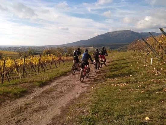 Alsace Freeride Academy