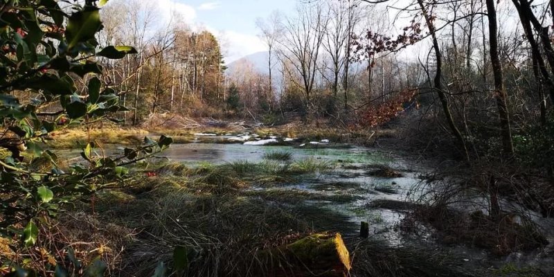 Stagno di Moncucco