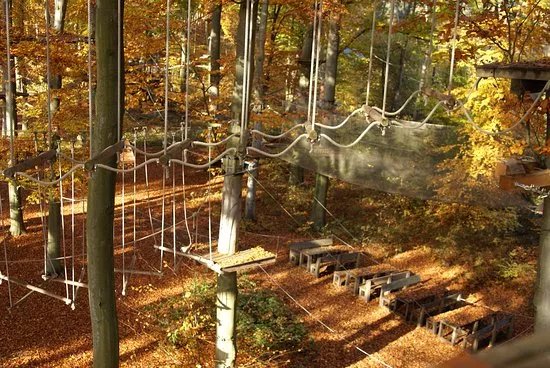 Kletterwald Viernheim