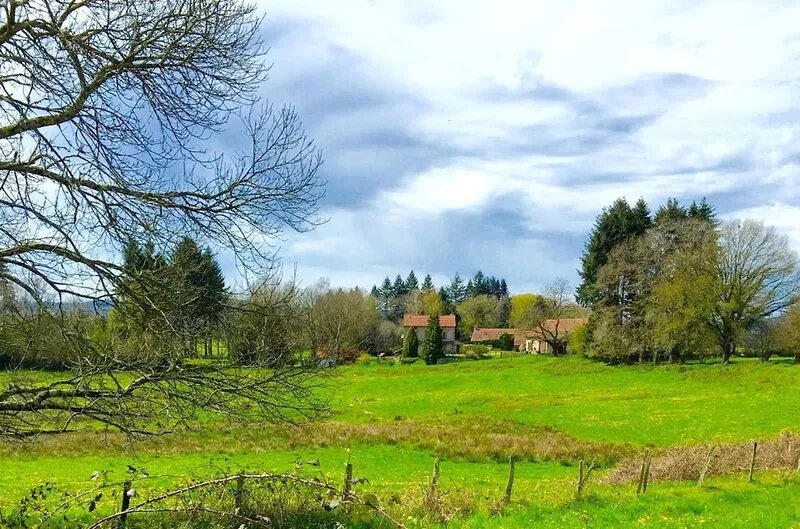 Bijou cottage in the heart of rural France, with alpacas in the garden.