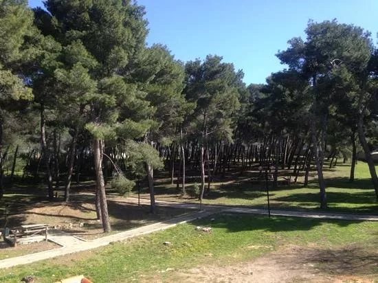 Parco di Badimanna