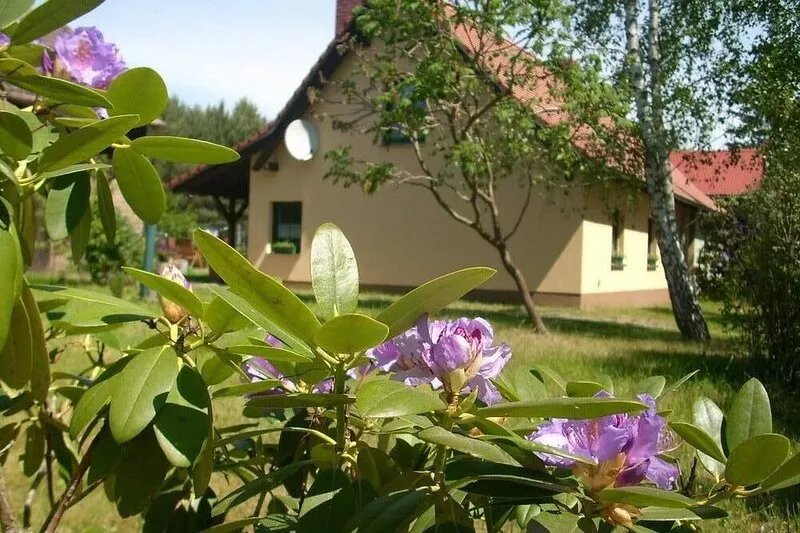 By the forest, lake, peace and relaxation, comfortably furnished, large garden,