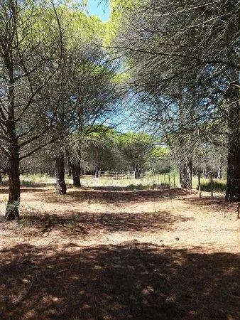 La Cabane du Boucanet
