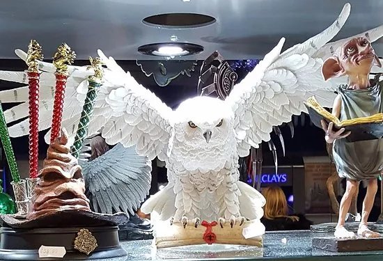 Labyrinth brings Harry Potter To Shrewsbury