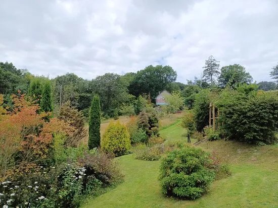 Ysgoldy'r Cwrt Garden