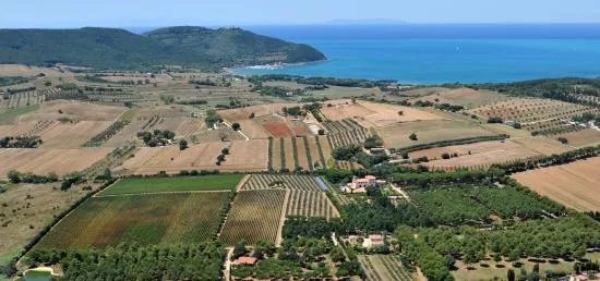 Tenuta Poggio Rosso