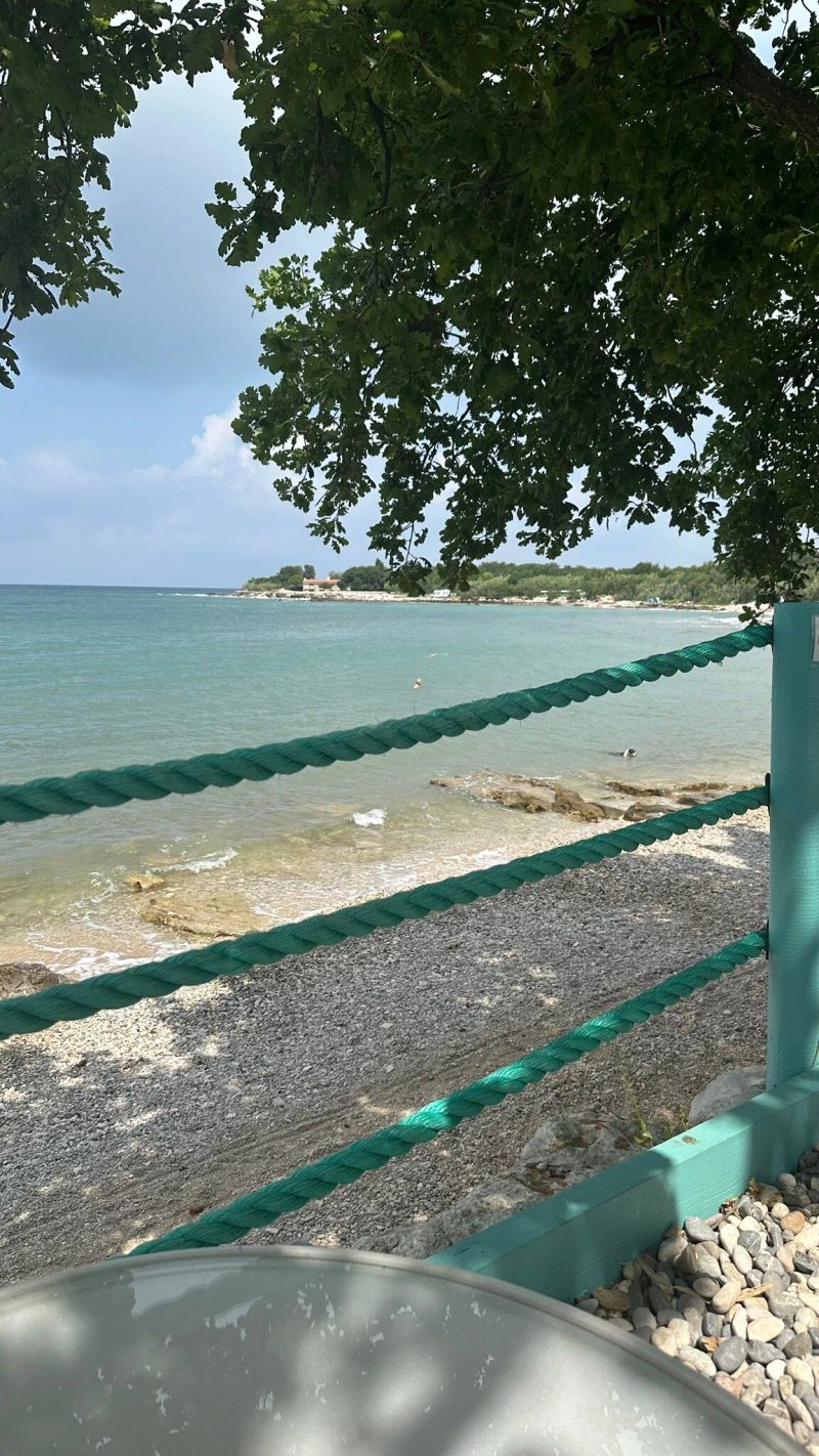 Dog Dreams Beach & Bar
