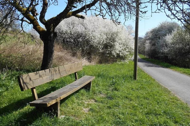 Vacation apartment in a quiet location on the outskirts, Saarland Card