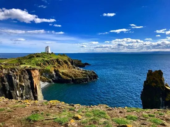 Isle of May National Nature Reserve